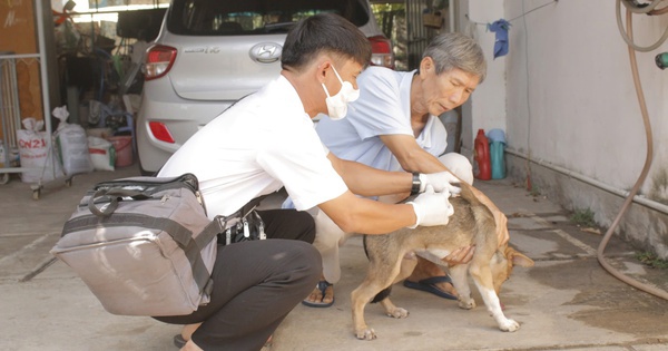 Vụ người đàn ông ở TP HCM bị chó, rắn cắn tử vong: Khẩn trương khoanh vùng xử lý