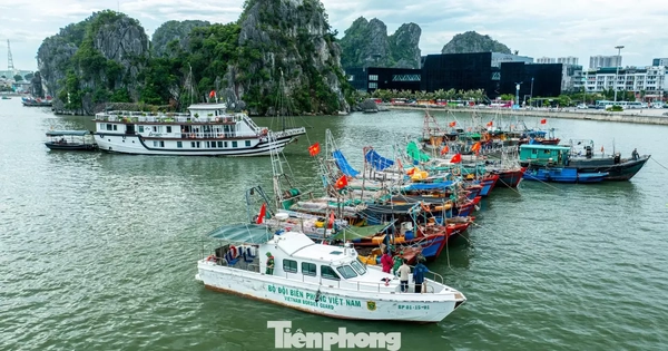 Quảng Ninh cấm biển, tàu thuyền hối hả chạy vào bờ tránh bão