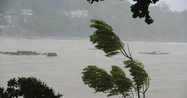 Khu nuôi cá lồng của ngư dân Thanh Hóa chìm trong mưa bão số 5