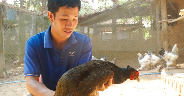 Người đàn ông nuôi động vật hoang dã lãi ròng khoảng 1 tỷ đồng/năm, vinh dự được Chủ tịch nước tặng Huân chương Lao động hạng Ba