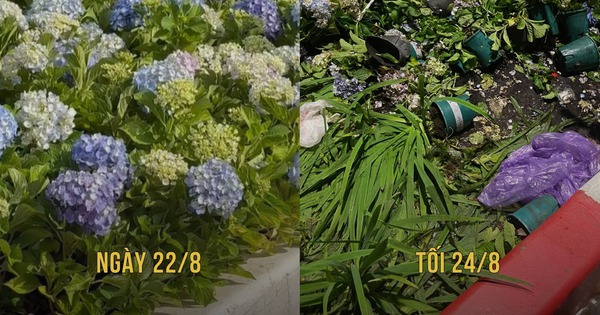 Yêu nước, thì đừng làm những điều này!