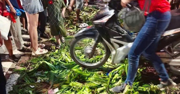 Dẫm đạp lên thảm cỏ, xả rác ra đường: Bị phạt đến 2 triệu đồng, buộc khôi phục lại tình trạng ban đầu