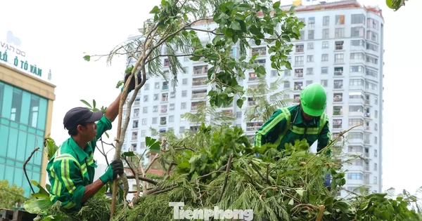 Công nhân môi trường dọn hơn 2.000 tấn rác/ngày sau bão
