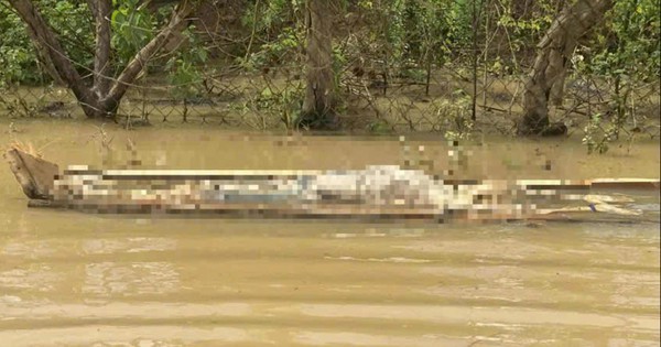 Phát hiện thêm thi thể và hòm trôi ở khu vực lòng hồ thủy điện