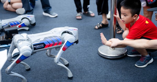 Người dân Hà Nội háo hức ngắm nhìn, "bắt tay" chó robot: Công nghệ tương lai xuất hiện ngay giữa Thủ đô