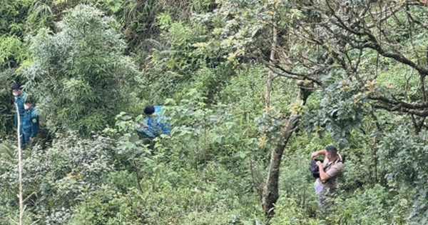 Phát hiện ô tô lao xuống vực ở Mẫu Sơn cùng thi thể đang phân hủy