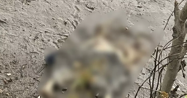 Đang câu cá, tá hỏa phát hiện thi thể chỉ còn bộ xương