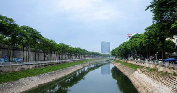 Cảnh tượng hiếm thấy: Sông Tô Lịch hóa xanh, cá bơi tung tăng giữa lòng Hà Nội