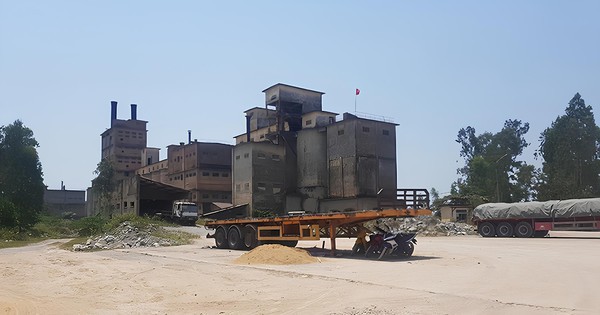 Chuyện gì đang diễn ra ở Chi nhánh Nhà máy xi măng Cosevco 11?