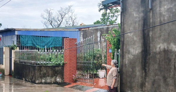 Chuyện hy hữu: Gia đình ở Hải Phòng mất gần 100m² đất ở vì cán bộ tính sai