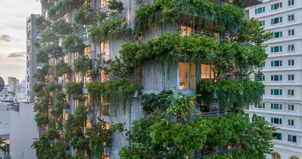 Một khách sạn ven biển Đà Nẵng bị phạt 564 triệu đồng