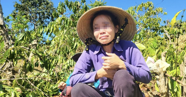 Diễn biến bất ngờ vụ anh rể phá vườn cây "đòi quan hệ với em vợ"