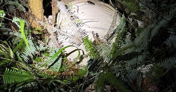 Phát hiện thi thể nữ giới được giấu trong bao vải ở phường Móng Cái 3