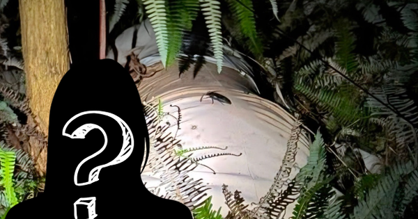 Vụ thi thể nữ giới đang phân hủy trong bao tải: Danh tính nạn nhân và mối quan hệ bí ẩn