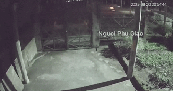 Khoảnh khắc tài xế ô tô tông tử vong 3 mẹ con ở TP.HCM: Tiếng va chạm chói tai khiến nhiều người ám ảnh