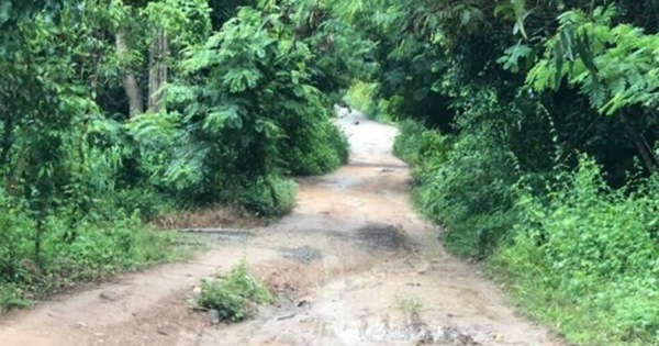 Sau tiếng la hét thất thanh, người dân phát hiện 2 mẹ con nằm gục trên vũng máu ở TP.HCM