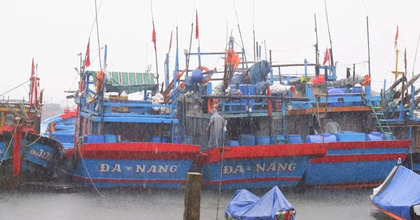 Ứng phó siêu bão Ragasa: Đà Nẵng sẵn sàng cấm biển, Lào Cai sẽ di dời dân để tránh sạt lở