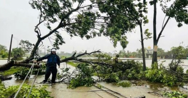 Siêu bão Ragasa chưa qua, Biển Đông lại sắp đón bão số 10, hướng vào miền Trung