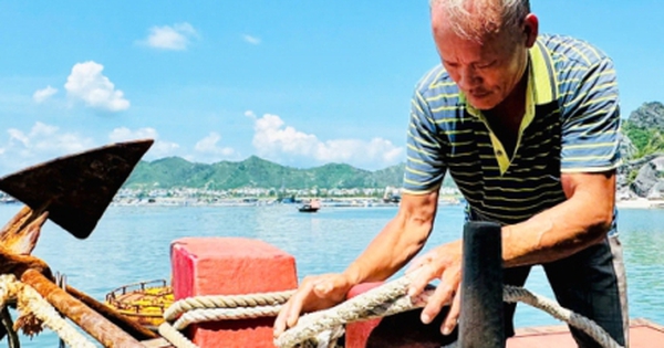 Quảng Ninh huy động hơn 3.000 cán bộ, chiến sĩ ứng phó bão số 9