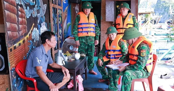 Đặc khu Cát Hải, Bạch Long Vĩ sơ tán người dân trước giờ bão số 9 đổ bộ