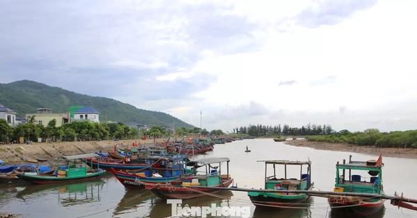 Hàng trăm tàu thuyền vào neo đậu tránh trú bão số 10
