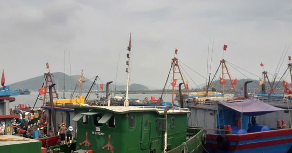 Bão số 10 Bualoi giật cấp 15, sóng biển cao 8-10 m: Hỏa tốc cấm tàu thuyền ra khơi