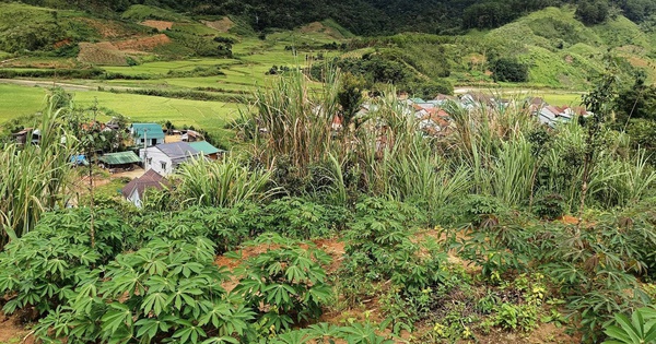 Xuất hiện vết nứt núi dài gần 200m, chính quyền dời dân khẩn cấp