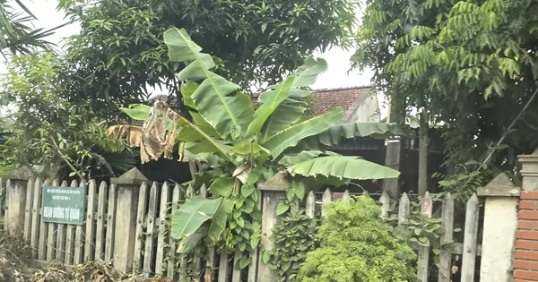 Gia cảnh trắc trở và ‘vết trượt’ của nghi can đâm chết vợ và hai người nghi tình địch