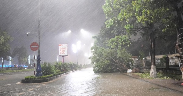 Bão số 10 Bualoi quần thảo đất liền, cây xanh đổ la liệt, nhà tốc mái, đường biến thành sông