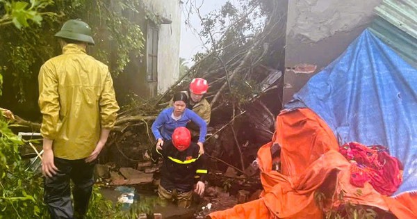 Một bí thư thôn ở Thanh Hóa bị cây đè tử vong khi đi chống bão số 10 Bualoi