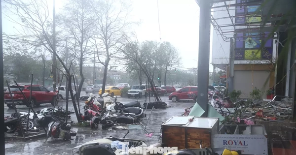 Nghệ An tan hoang sau bão