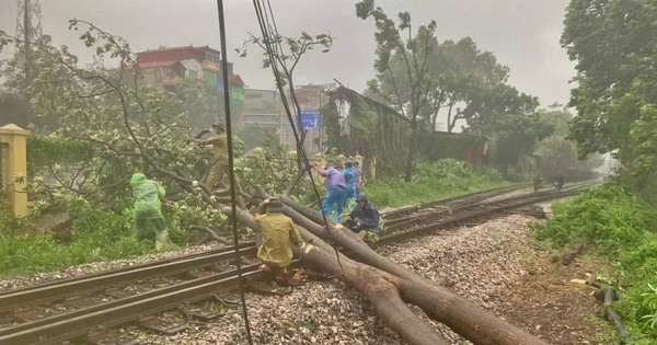 Dừng nhiều chuyến tàu, hoàn vé cho khách ảnh hưởng bão Bualoi