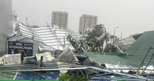 Nghệ An tan hoang sau bão số 10: Cây xanh bật gốc, gãy đổ, mảnh tôn bị gió "xé" rách nằm la liệt trên đường