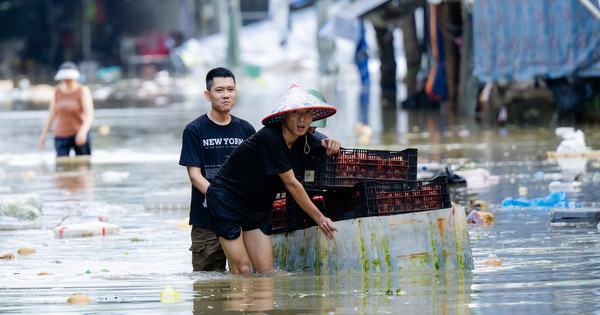 Tiểu thương chợ lớn nhất Nghệ An nhặt từng cọng rau trong dòng nước lũ, giữ lấy bữa cơm ngày mai