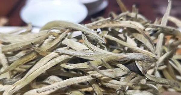 Đặc sản đắt đỏ bậc nhất Việt Nam, giá 680 triệu đồng/kg, ít người biết