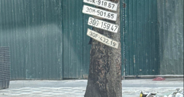 Bức ảnh lạ chụp trên phố Hà Nội gây xôn xao: Người đăng tải tiết lộ câu chuyện phía sau