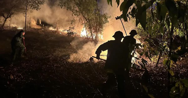 Phát hiện một người tử vong trong vụ cháy rừng tại TP Huế