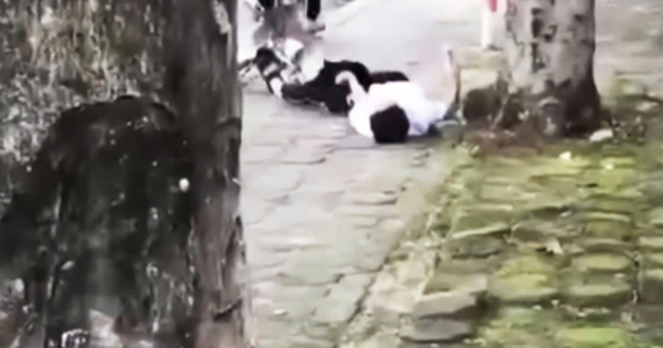 Nam sinh ở Quảng Ninh bị đánh đến co giật: Khởi tố 1 bị can