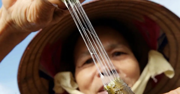 Thứ Việt Nam từng coi là phế phẩm bỏ đi: Trở thành mặt hàng quý hiếm, đắt đỏ bậc nhất thế giới, 1m tới 30 triệu đồng