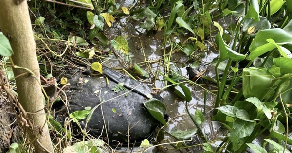 Lời khai kẻ giết người tình rồi chở thi thể hơn 70km phi tang xuống kênh