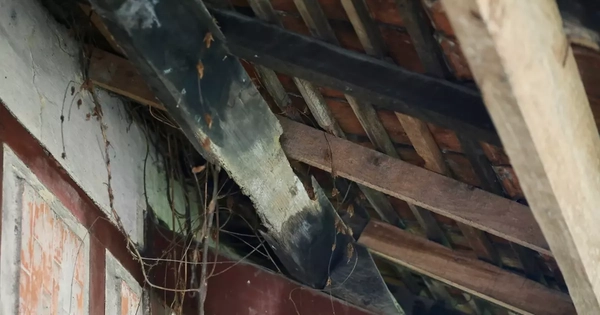 Bên trong biệt thự xuống cấp, người dân nín thở chờ phép sửa