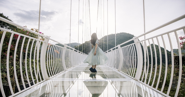 View - Việt Nam chính thức soán ngôi Trung Quốc để sở hữu cầu kính dài nhất thế giới khiến truyền thông quốc tế kinh ngạc