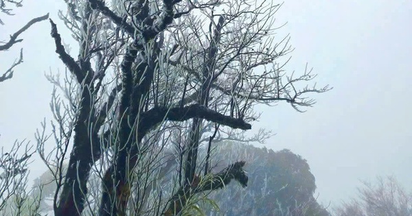 Đỉnh Phja Oắc ở Cao Bằng xuất hiện băng giá