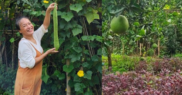 Mẹ nuôi của Phương Oanh nghỉ hưu sớm, làm nông dân ở khu vườn rộng 4.000m² ven sông Hồng