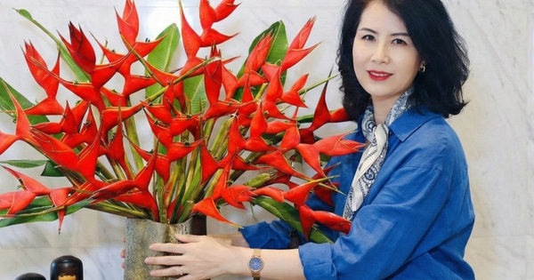 Chuối én đỏ - 'Phú quý điểu' đón Tết Bính Ngọ 2026: Độc lạ, bền bỉ và đầy may mắn