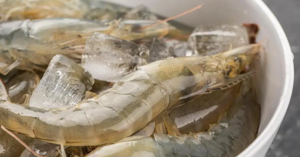 Đi chợ sắm Tết: 3 thực phẩm này không thể để quá 3 ngày, cất tủ lạnh vẫn có thể gây ngộ độc