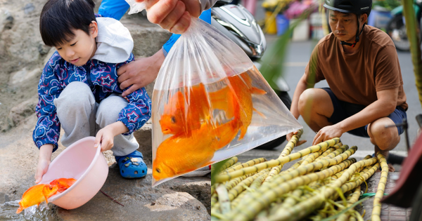 Mía chằng kín xe máy, cá chép đỏ rực bến sông: TP.HCM - Hà Nội rộn ràng tiễn ông Công ông Táo ngày 23 tháng Chạp