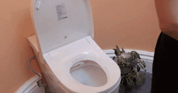 Sau 1 năm dùng bồn cầu thông minh, tôi hiểu vì sao có nhà khen hết lời, có nhà lại hối hận tràn ngập