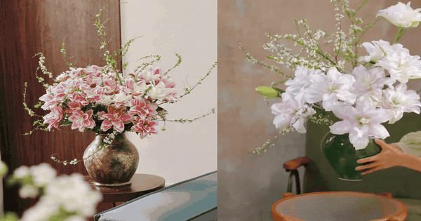 A đây rồi, hoa Tết trend nhất 2026: Không phải nắng mà đẹp chói chang, cả cõi mạng đua nhau cắm