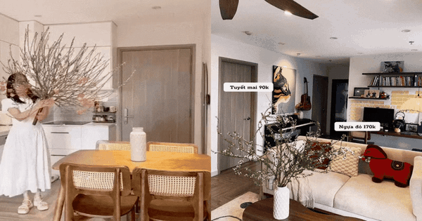 Vợ đảm ở Hà Nội dự trù chi tiêu Tết cho 3 gia đình gói gọn 21 triệu: Cành đào 300k, tuyết mai 90k... hoa rực rỡ khắp nhà